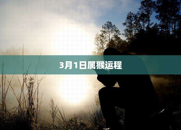 3月1日属猴运程
