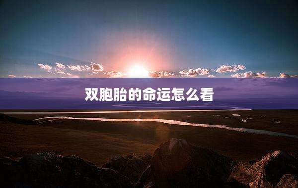 双胞胎的命运怎么看