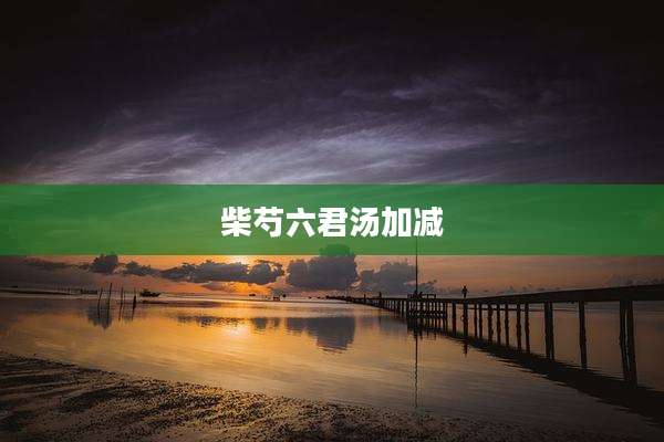 柴芍六君汤加减
