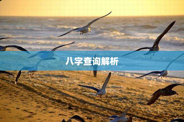 八字查询解析