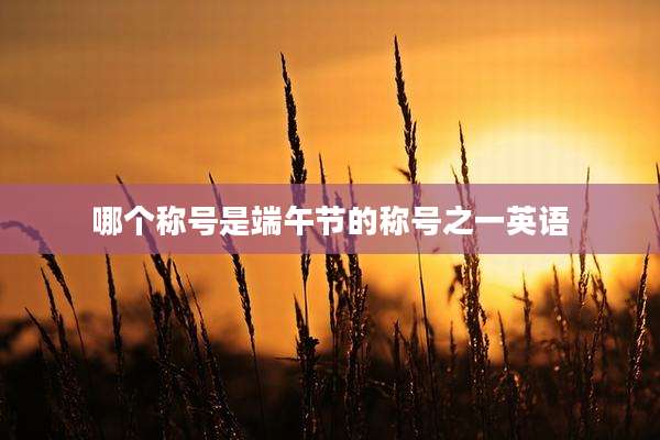 哪个称号是端午节的称号之一英语