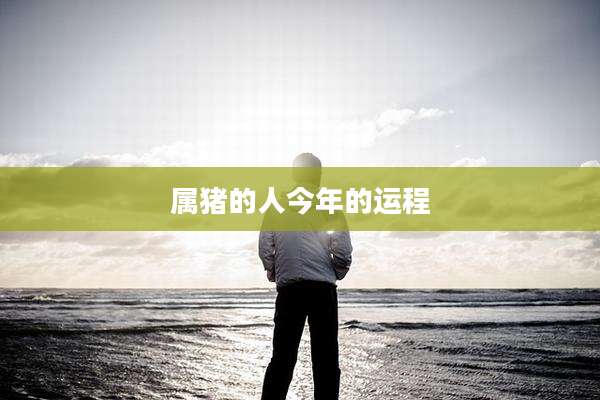 属猪的人今年的运程