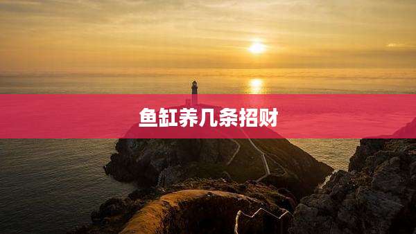 鱼缸养几条招财