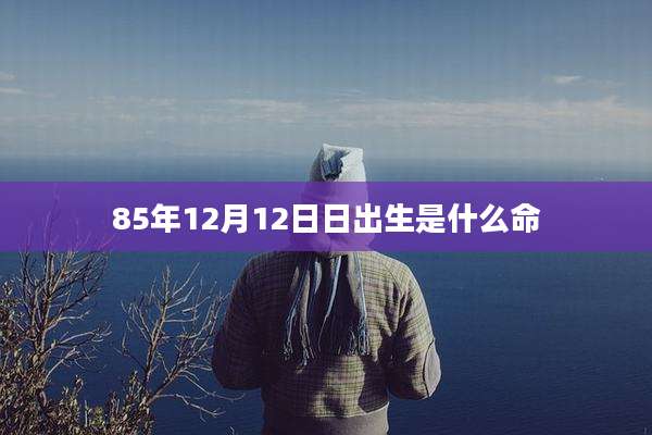 85年12月12日日出生是什么命