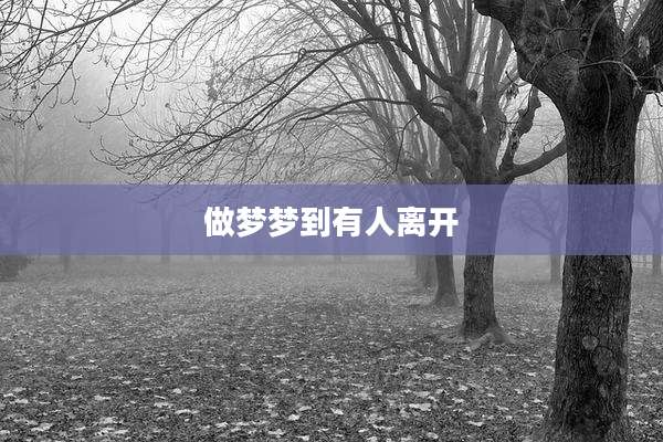 做梦梦到有人离开
