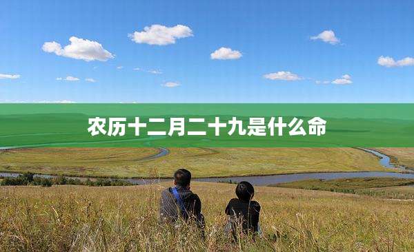农历十二月二十九是什么命