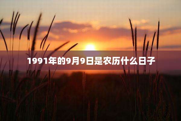 1991年的9月9日是农历什么日子
