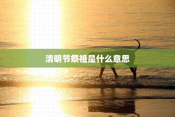 清明节祭祖是什么意思