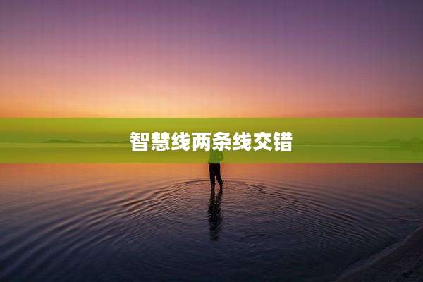 智慧线两条线交错