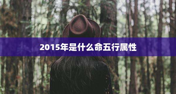 2015年是什么命五行属性