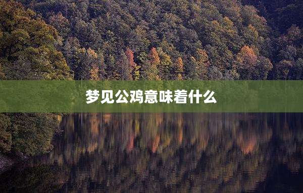 梦见公鸡意味着什么