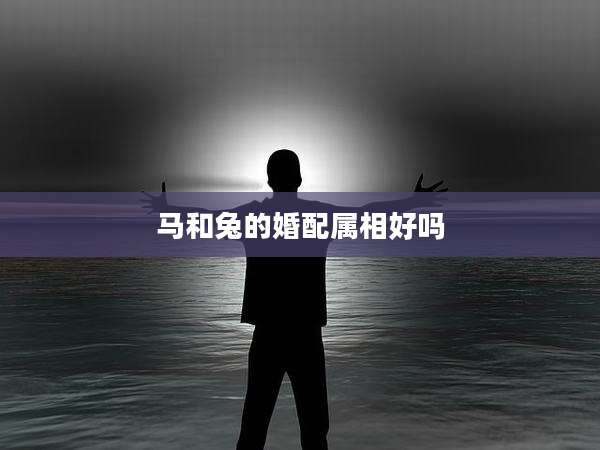马和兔的婚配属相好吗