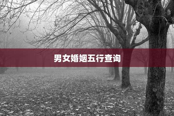 男女婚姻五行查询