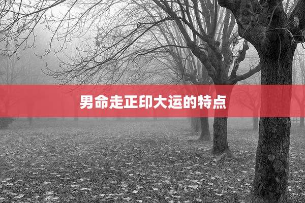 男命走正印大运的特点