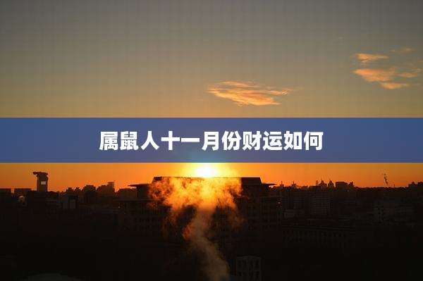属鼠人十一月份财运如何