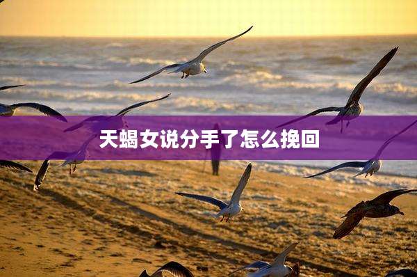 天蝎女说分手了怎么挽回