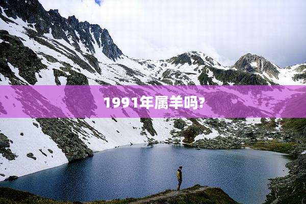 1991年属羊吗?