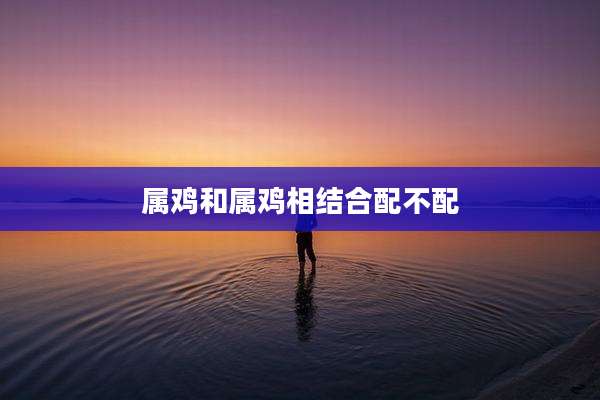 属鸡和属鸡相结合配不配