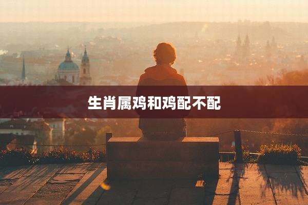 生肖属鸡和鸡配不配