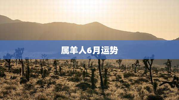 属羊人6月运势