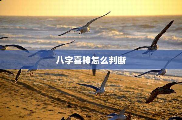 八字喜神怎么判断
