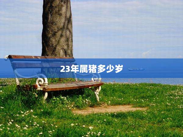 23年属猪多少岁