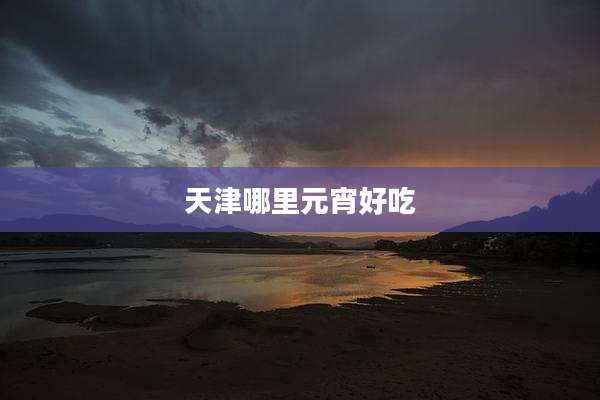 天津哪里元宵好吃