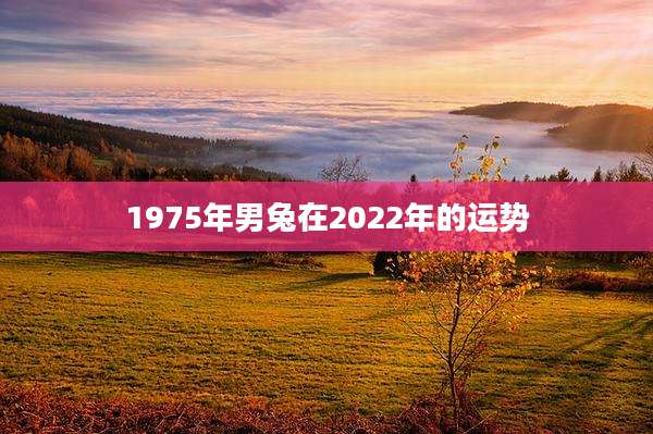 1975年男兔在2022年的运势