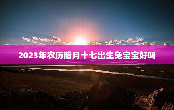 2023年农历腊月十七出生兔宝宝好吗