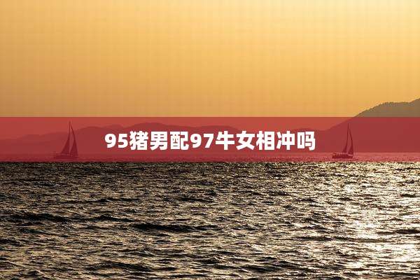 95猪男配97牛女相冲吗