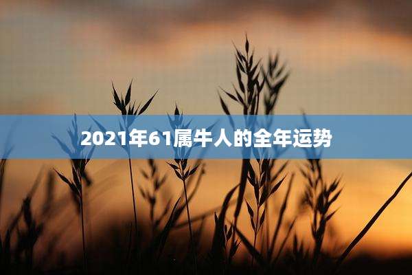 2021年61属牛人的全年运势