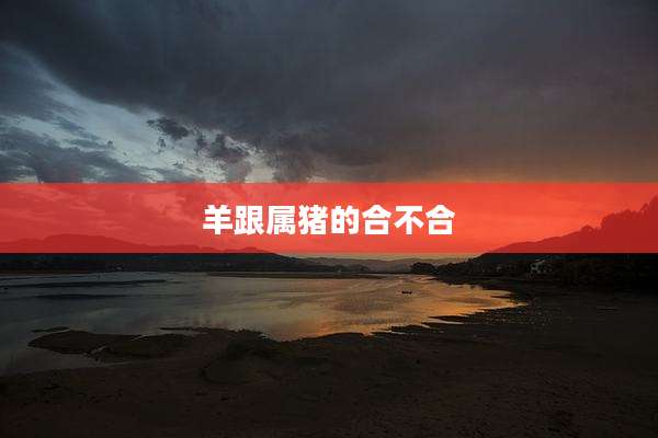 羊跟属猪的合不合