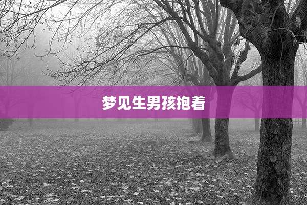 梦见生男孩抱着