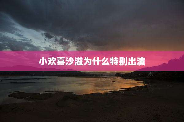 小欢喜沙溢为什么特别出演