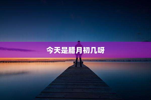 今天是腊月初几呀