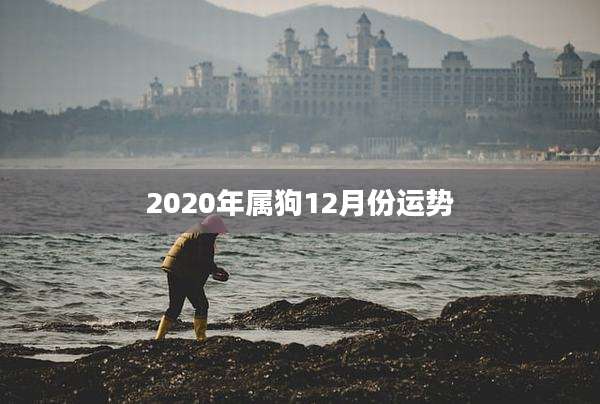 2020年属狗12月份运势