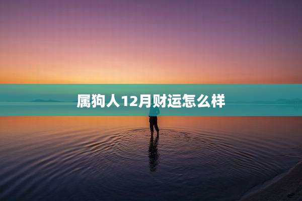 属狗人12月财运怎么样