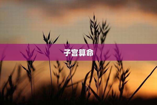 子宫算命