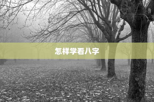 怎样学看八字