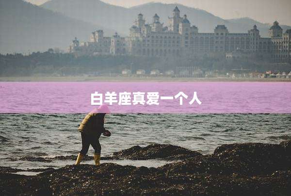 白羊座真爱一个人