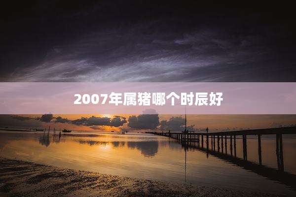 2007年属猪哪个时辰好