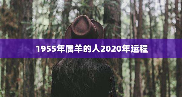 1955年属羊的人2020年运程