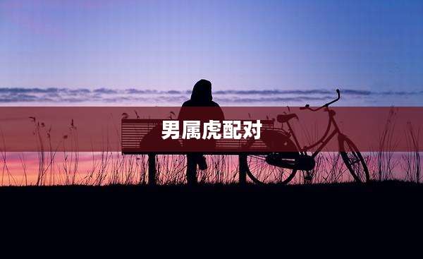 男属虎配对
