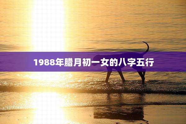 1988年腊月初一女的八字五行