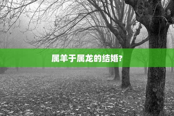 属羊于属龙的结婚?