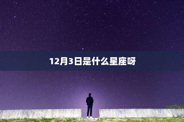 12月3日是什么星座呀