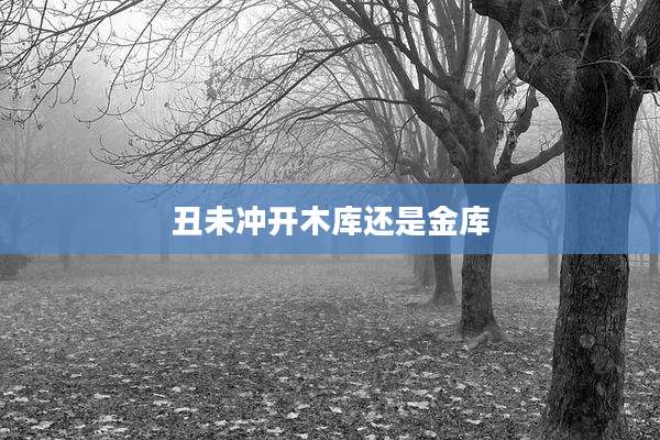 丑未冲开木库还是金库