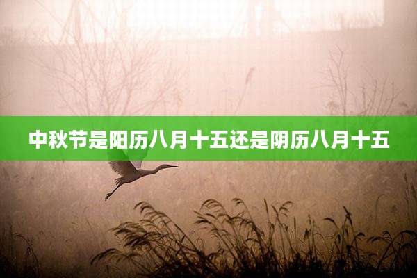 中秋节是阳历八月十五还是阴历八月十五