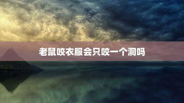 老鼠咬衣服会只咬一个洞吗