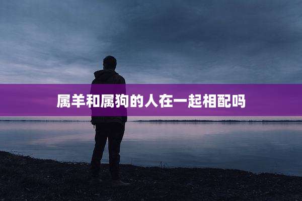 属羊和属狗的人在一起相配吗